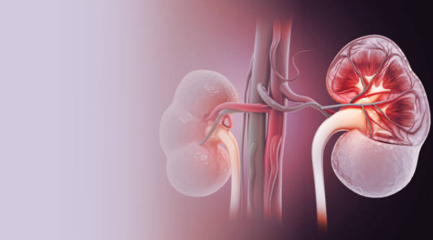 پیلونفریت-pyelonephritis-و اطلاعات تکمیلی ان