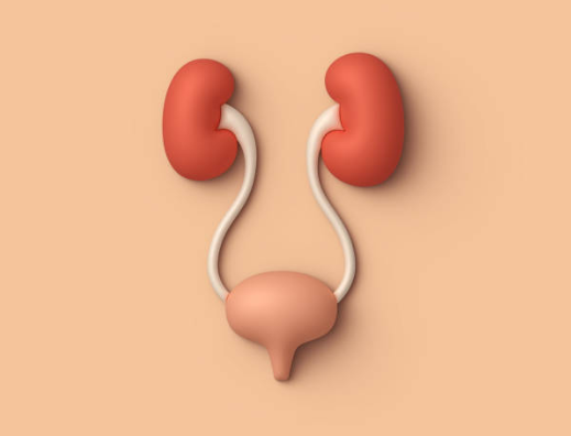 پیلونفریت-pyelonephritis-و اطلاعات تکمیلی ان